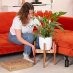 Ayria Mid-Century Modern Wooden Plant Stand - Image 4