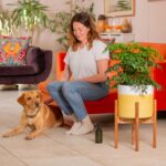 Ayria Mid-Century Modern Wooden Plant Stand - Image 7