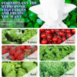Tower Garden Hydroponic Growing System - Image 5