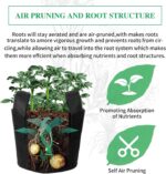 Tower Garden Hydroponic Growing System - Image 6